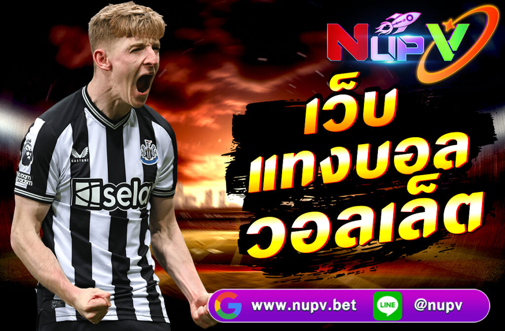 เว็บแทงบอลวอลเล็ต บนเว็บไซต์ nupv.bet ฝาก-ถอนง่าย ไม่มีขั้นต่ำ เดิมพันบอลทุกแมตช์ได้สะดวก รวดเร็ว ปลอดภัย พร้อมโบนัสพิเศษมากมาย